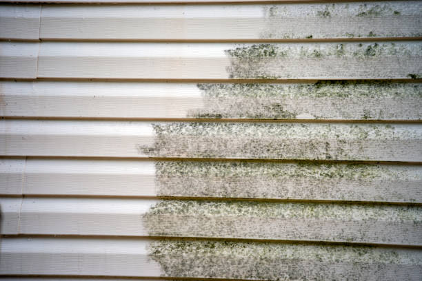 Best Residential Vinyl Siding Installation  in Ottawa, OH