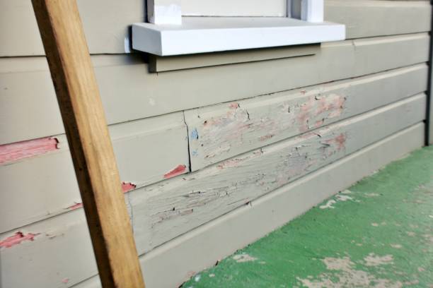 Best Fiber Cement Siding Installation  in Ottawa, OH